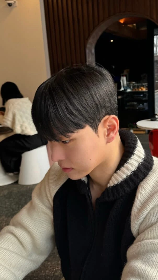 용진 · 시스루댄디